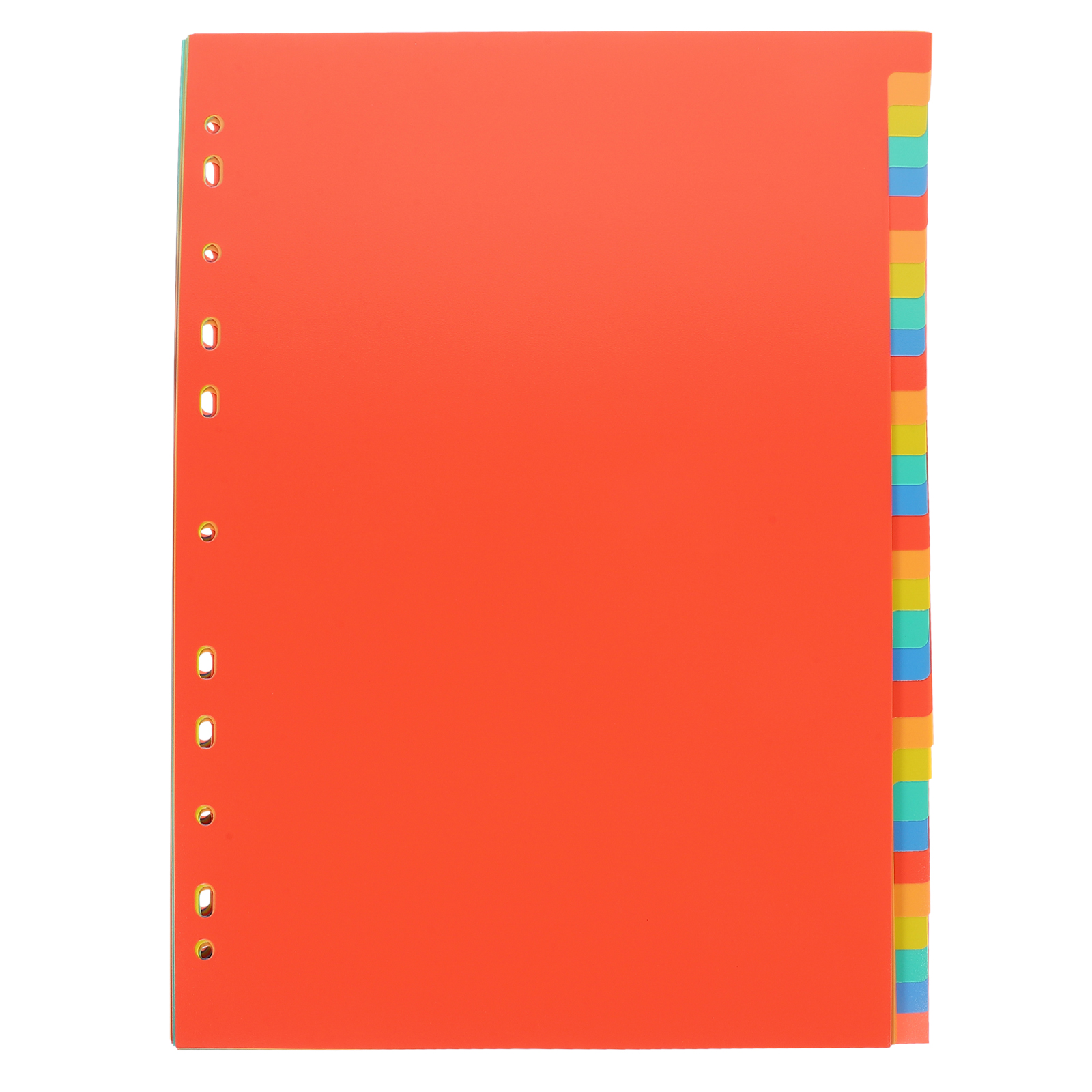A4 Index Pages Plastic Binder  - Tab Divider A4 리뷰 및 가격