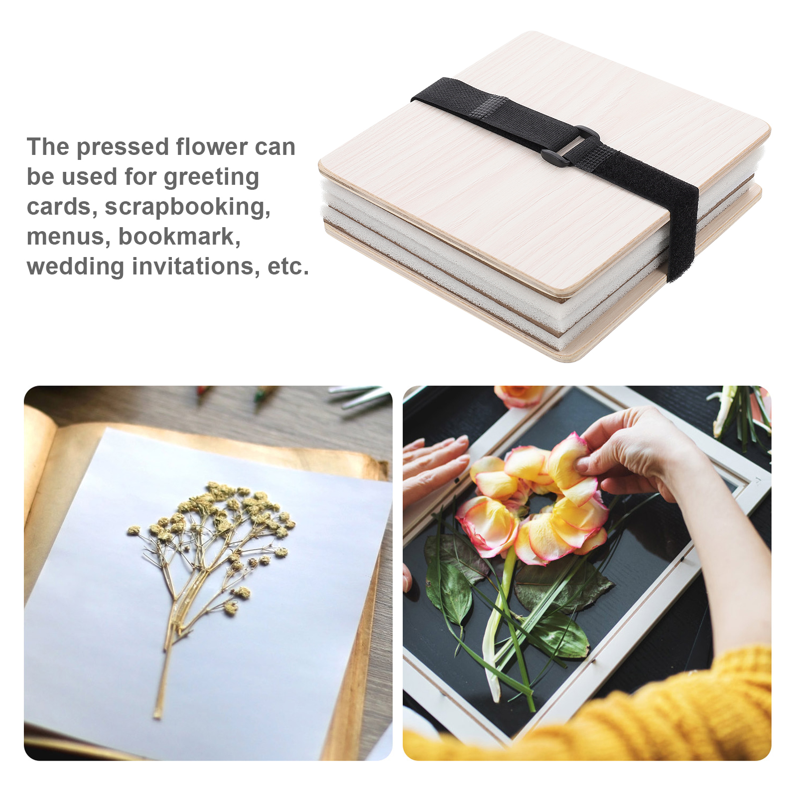 1 set Flower Press Kit Plant L - Ink Blotter Paper 리뷰 및 가격