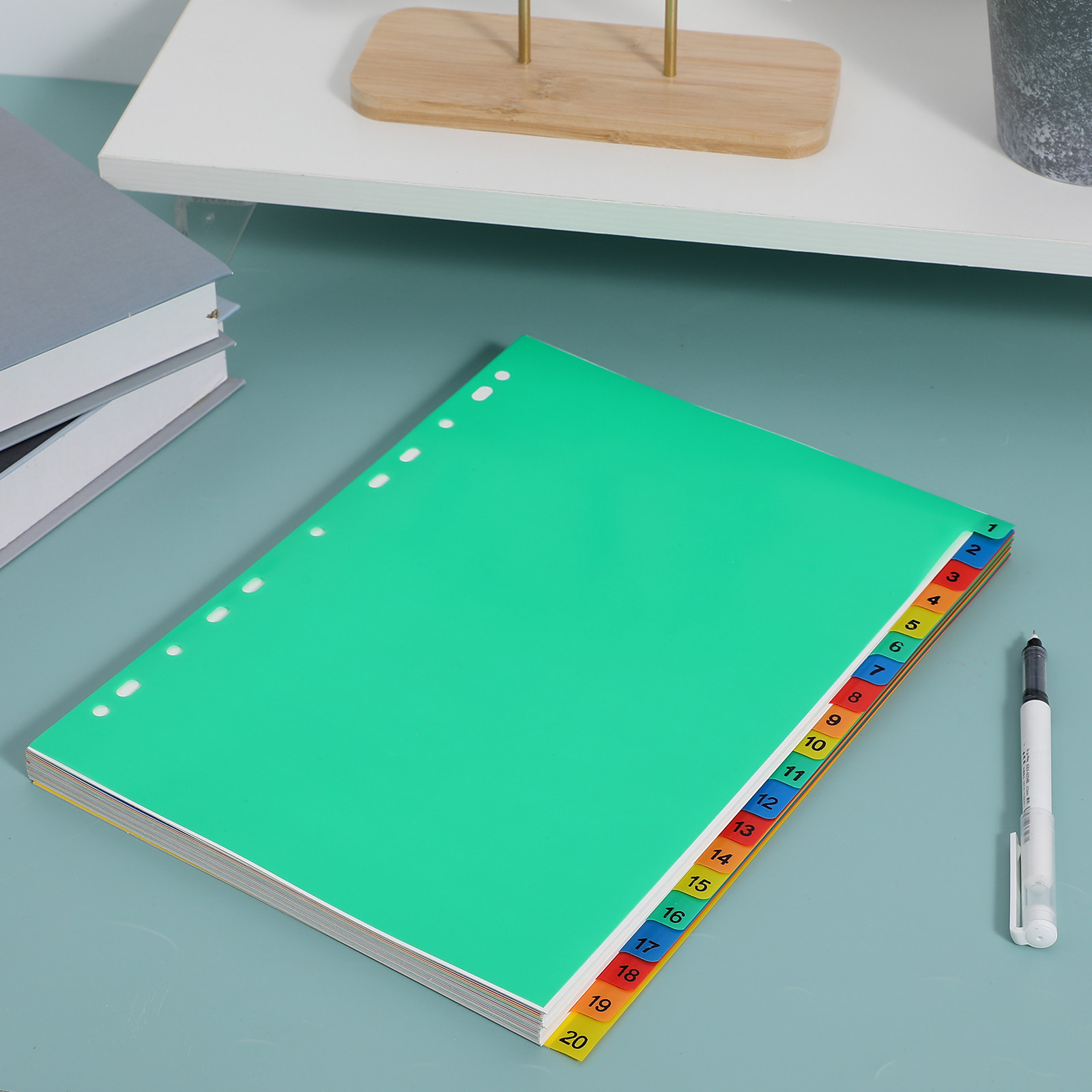 20 Pages A4 Colorful Plastic B - Tab Divider A4 리뷰 및 가격