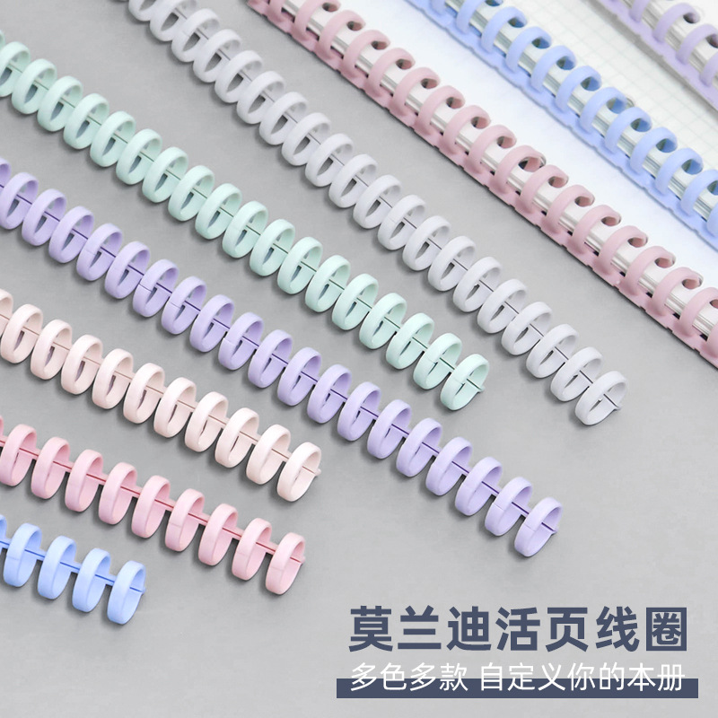 30 Holes Round Ring Loose Leaf - Binder A4 Lever 리뷰 및 가격