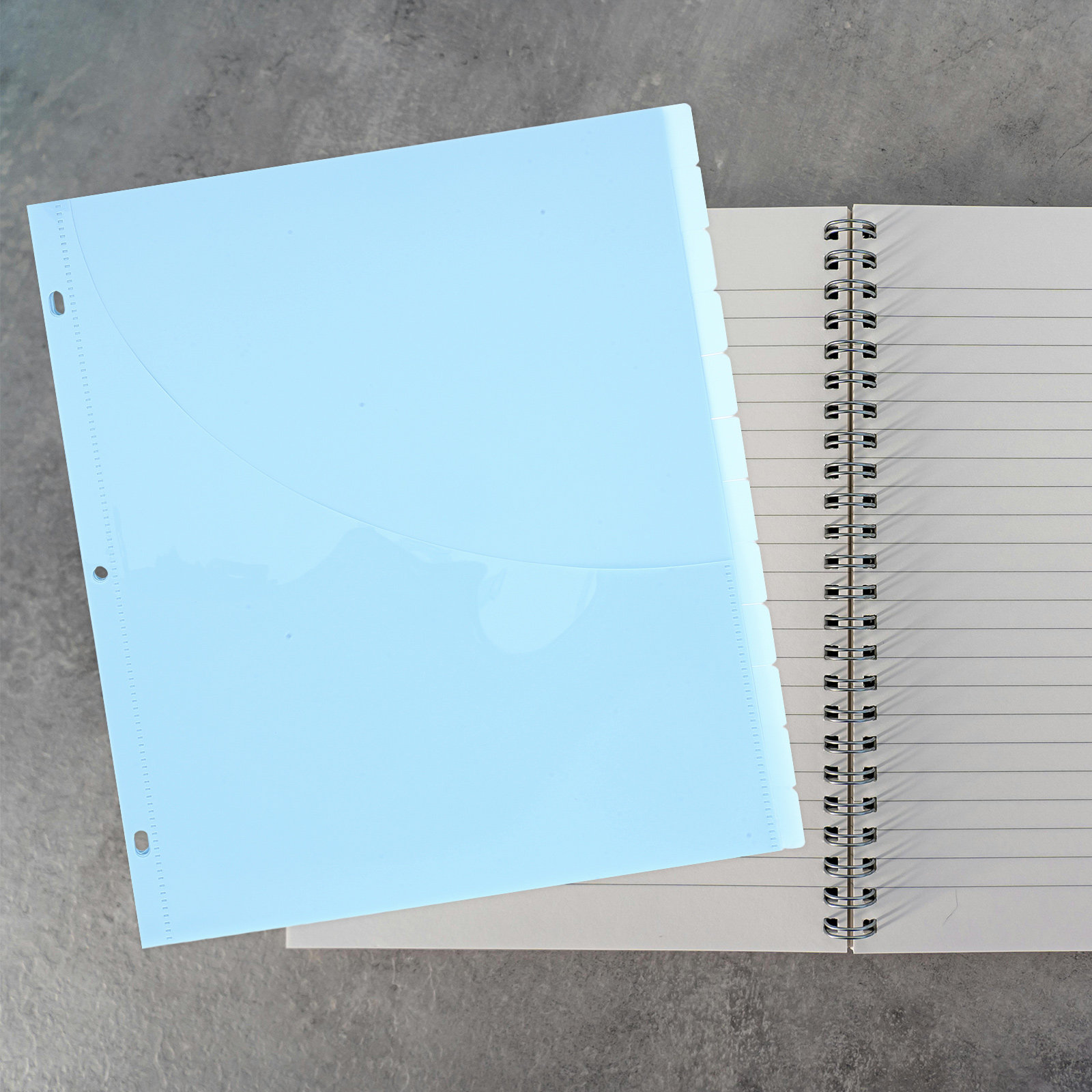 12Pcs Binder Dividers A4 Plast - Tab Divider A4 리뷰 및 가격