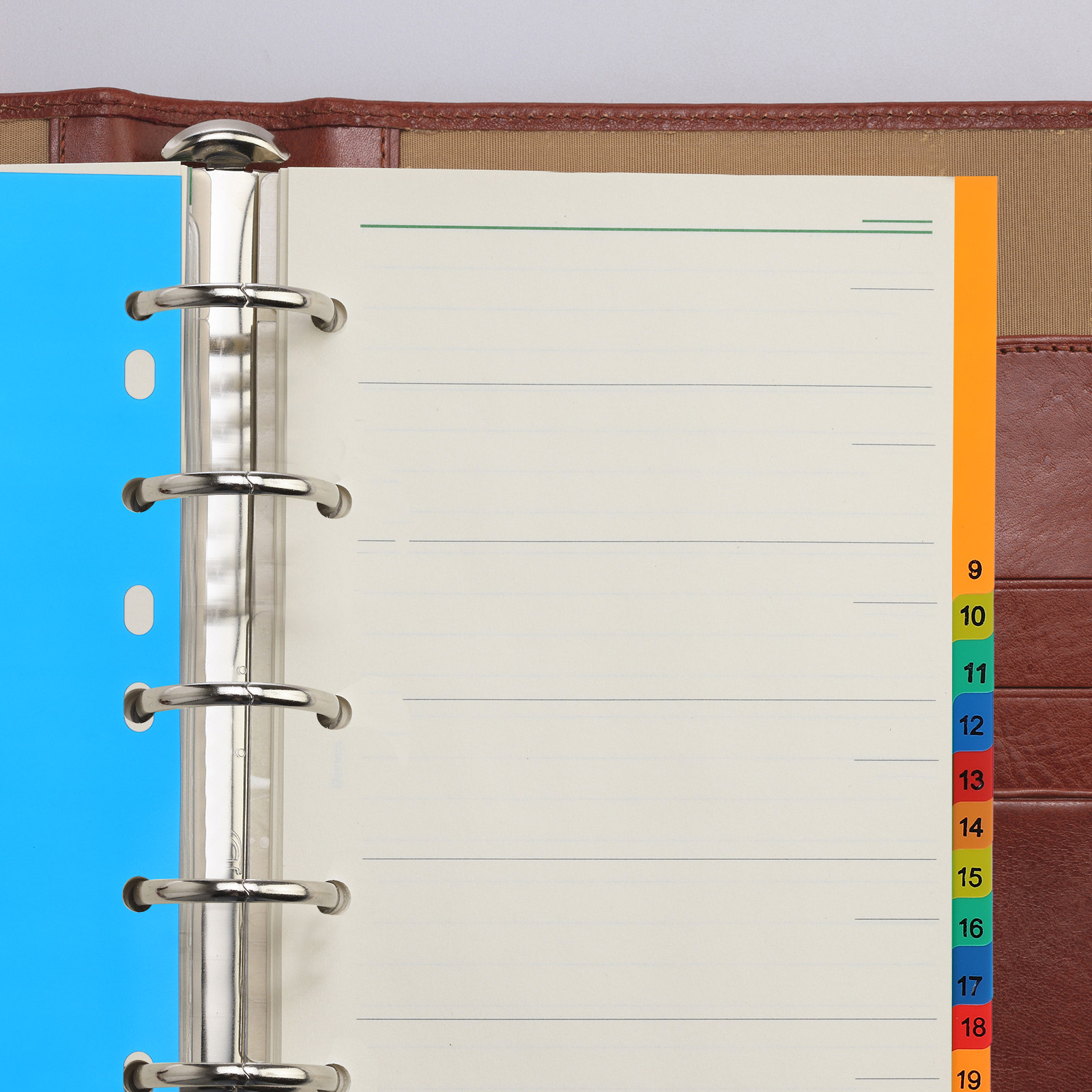 20 Pages A4 Colorful Plastic T - Tab Divider A4 리뷰 및 가격