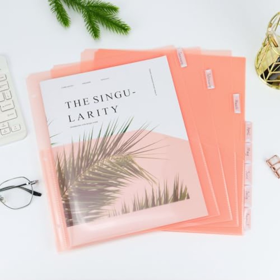 Binder Dividers with Pockets 8 - Tab Divider A4 리뷰 및 가격
