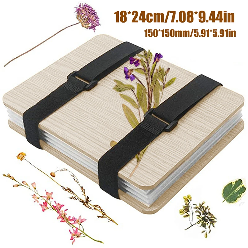 1 Set Plant Specimen Tool Kit  - Ink Blotter Paper 리뷰 및 가격