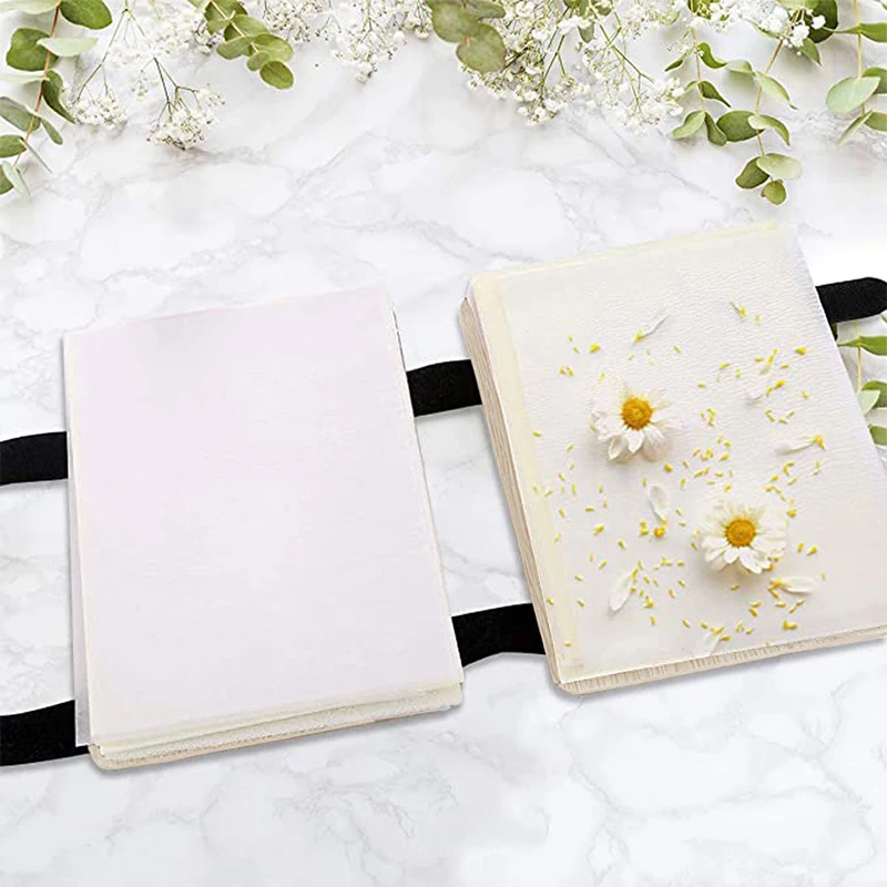 1 Set Plant Specimen Tool Kit  - Ink Blotter Paper 리뷰 및 가격