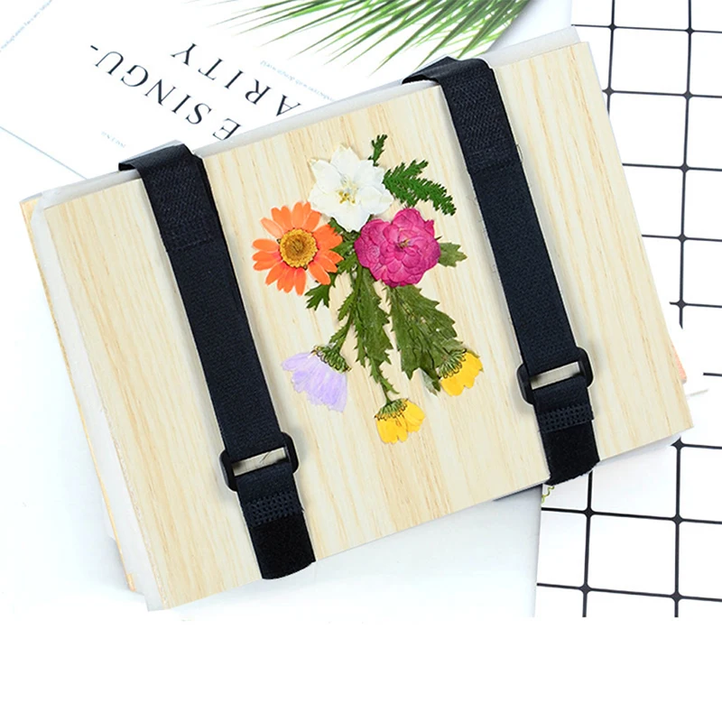 1 Set Plant Specimen Tool Kit  - Ink Blotter Paper 리뷰 및 가격
