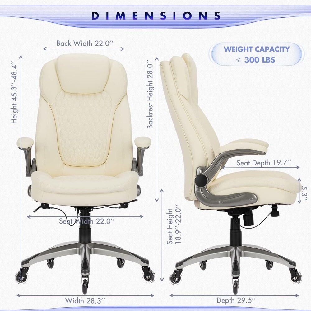 Executive Office Chair Ergonom - Leather Desk Pad 리뷰 및 가격